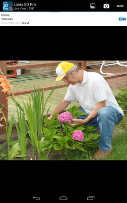 Lorex SD Pro screenshot 14