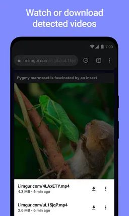 Vider Adblock - Video Browser screenshot 1