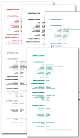 Curriculum Europeu BASIC screenshot 1