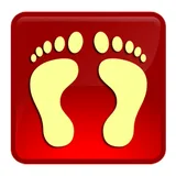 Droid Podómetro icon