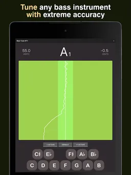 Bass Tuner BT1 screenshot 6
