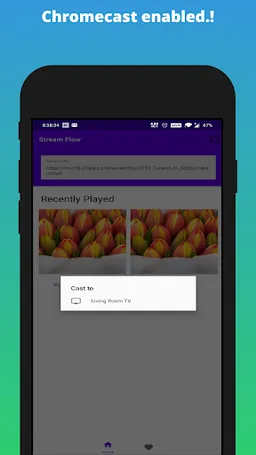 Stream Flow | m3u8 Player screenshot 1