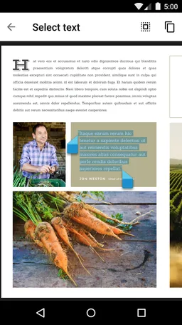 Google PDF Viewer screenshot 2