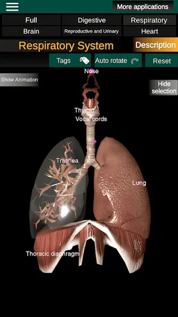 Internal Organs in 3D Anatomy screenshot 11