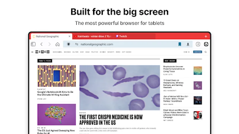 Vivaldi Browser - Fast & Safe screenshot 10