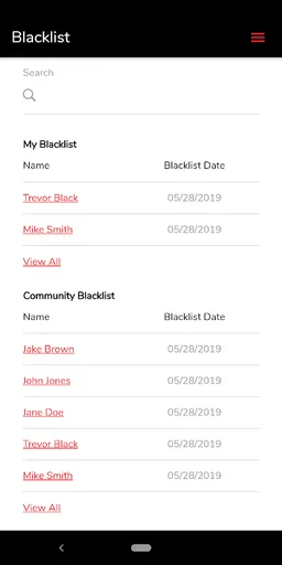 Hail Chasers screenshot 1