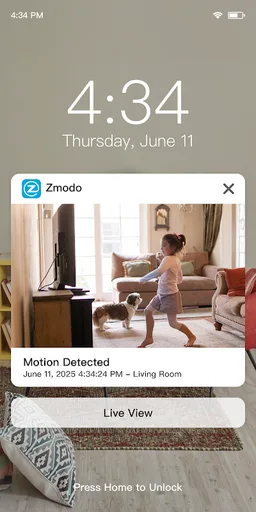 Zmodo screenshot 8