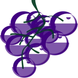 Magyar Szőlőfajták icon