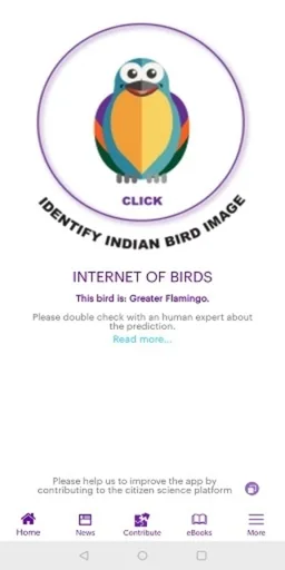 Internet of Birds screenshot 3