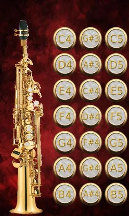 Virtual Soprano Saxophone screenshot 1