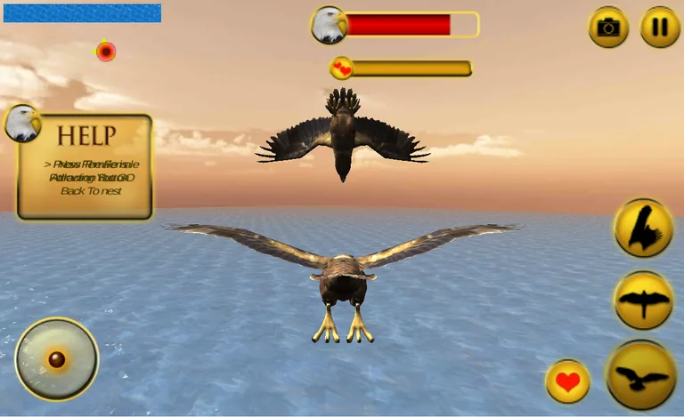 Life of Eagle - Wild Simulator screenshot 9