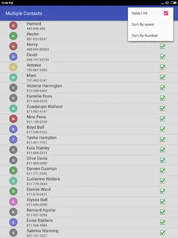 Delete all Phonebook Contacts screenshot 11
