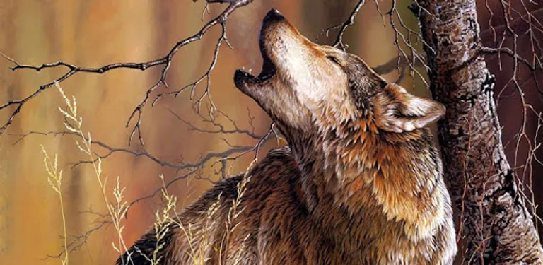 Wolf Live Wallpaper cover image