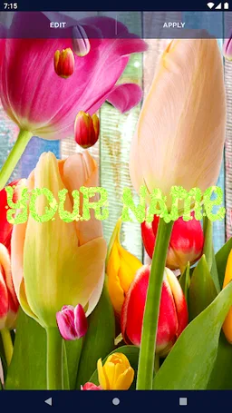 Tulips Spring Live Wallpaper screenshot 7