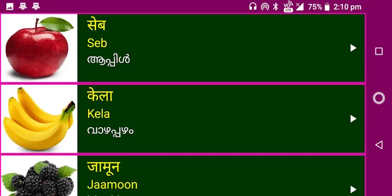 Learn Hindi from Malayalam screenshot 7