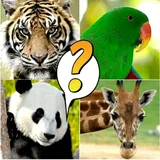 Animal Quiz icon