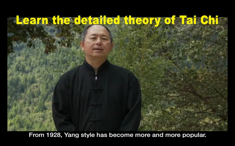 Yang Tai Chi for Beginners 1 b screenshot 8