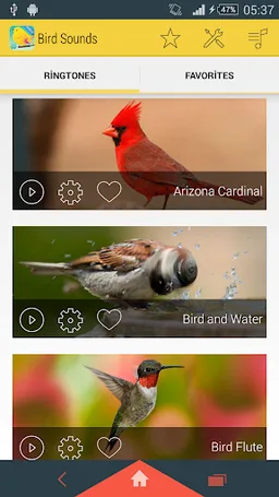 Bird Sounds Ringtones screenshot 2