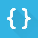 Developer Options Shortcut icon