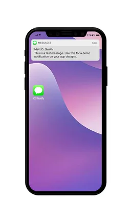 Like iOS Notification screenshot 2