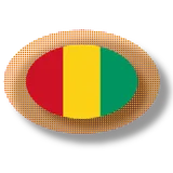 Guinean apps icon