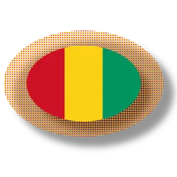 Guinean apps icon