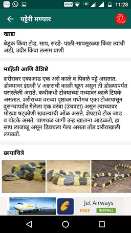 Snake Friend - सर्पमित्र screenshot 2