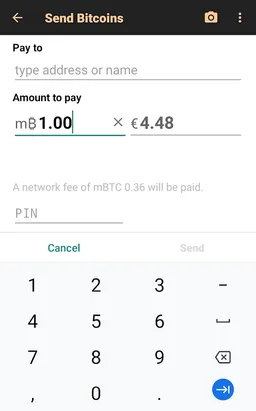 Bitcoin Wallet screenshot 12
