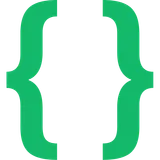 Developer Options icon