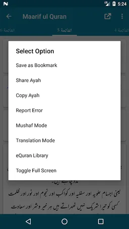 Maarif ul Quran - Maulana M. Idrees Kandhelvi screenshot 7