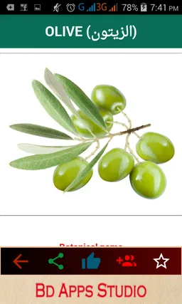 Islamic Medicines , Islamic treatment screenshot 4