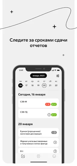 Контур.Экстерн screenshot 7