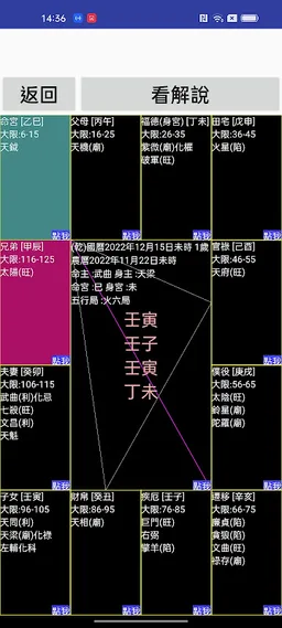 紫微斗數 screenshot 1