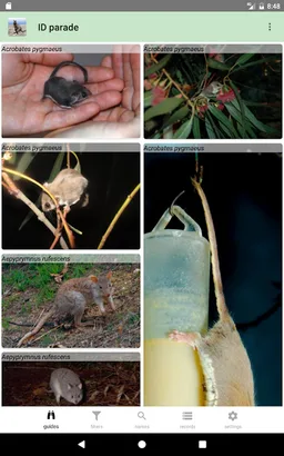 Australian Mammals screenshot 7