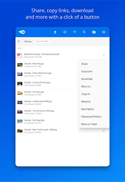 MediaFire screenshot 13