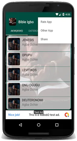 Bible NSO Igbo screenshot 16