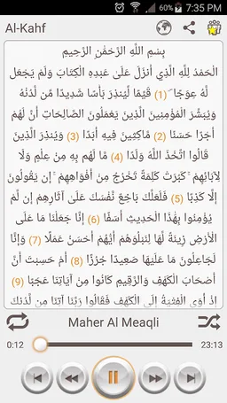 MP3 Quran - Multiple Reciters screenshot 4