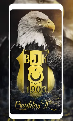 Kara Kartal Duvar Kağıtları 4K screenshot 1