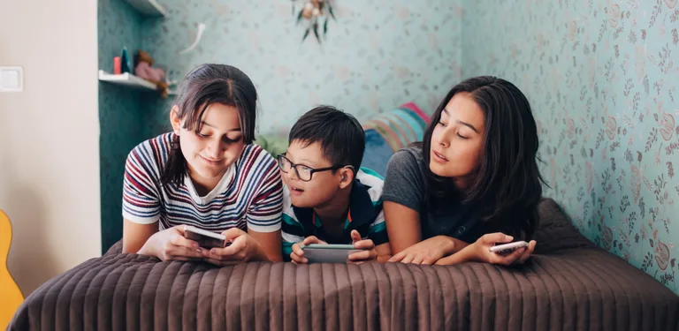 Verizon Family Companion cover image