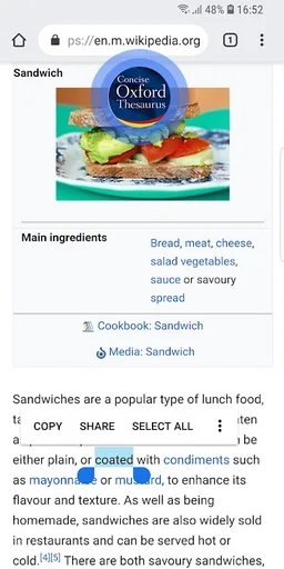 Concise Oxford Thesaurus screenshot 15