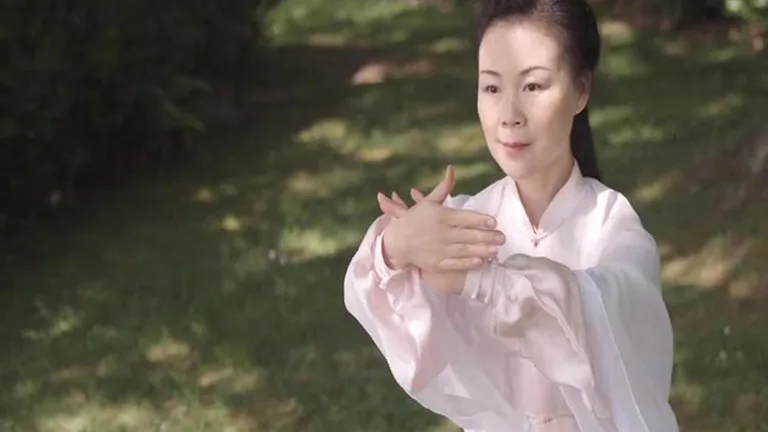 Tai Chi for Beginners - 48 For screenshot 4