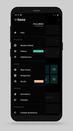 INTAXO Online Invoicing screenshot 6