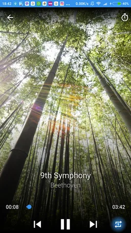 Relaxing Classical Music screenshot 6