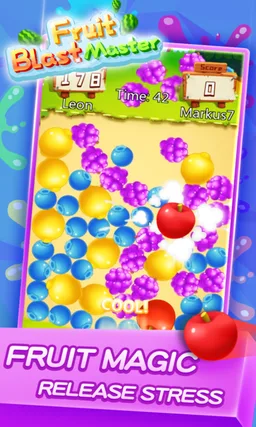 Fruit Blast Master screenshot 1