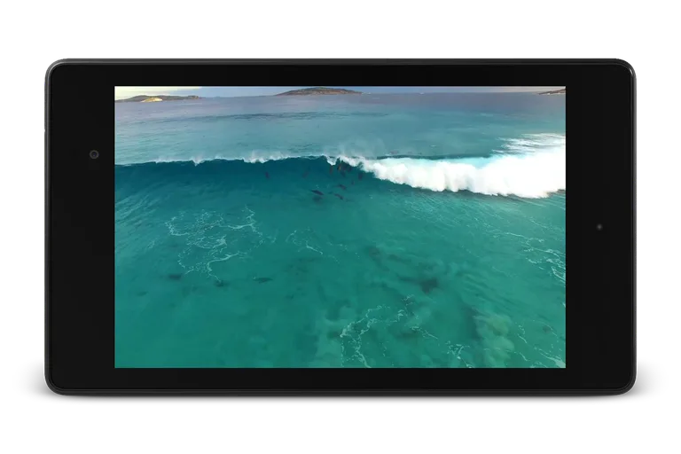 Dolphins Video Live Wallpaper screenshot 8
