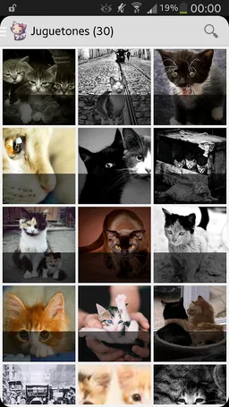 Imágenes Gatos Graciosos screenshot 3