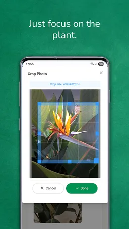 Plant identifier from photo screenshot 3