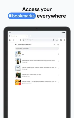 Google Chrome screenshot 16