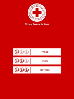 QUIZ DIU screenshot 2