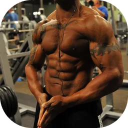 Fitness. Rutinas para el Gym icon